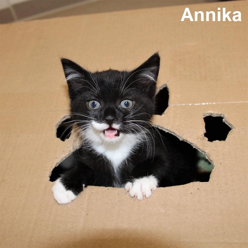 Annika