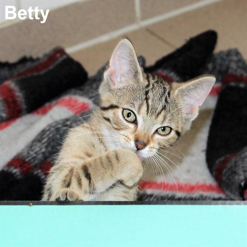 Betty