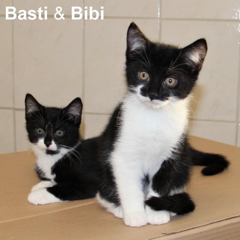 Basti & Bibi