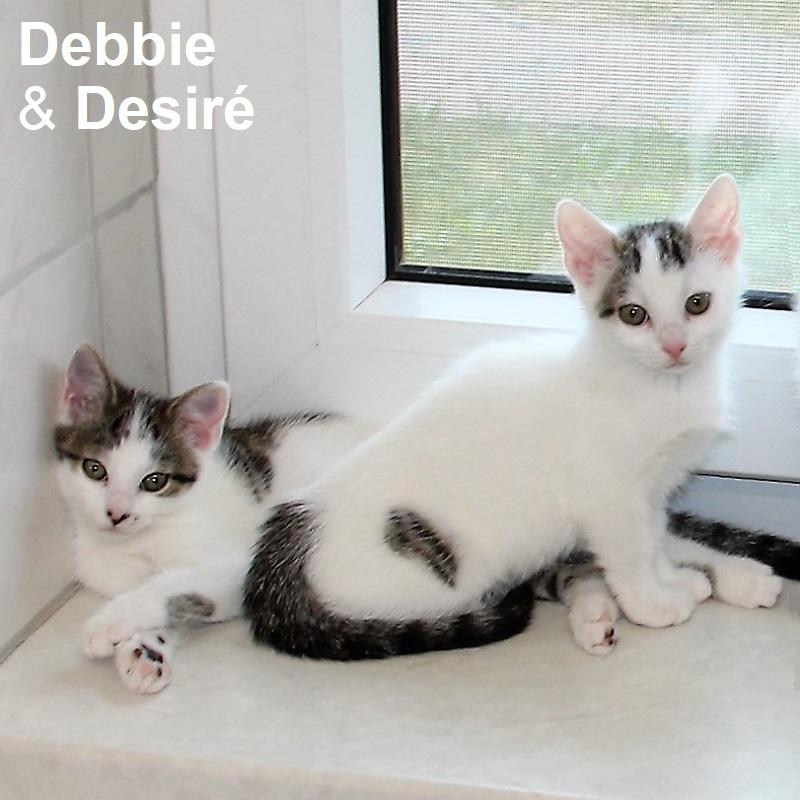 Debbie & Disere