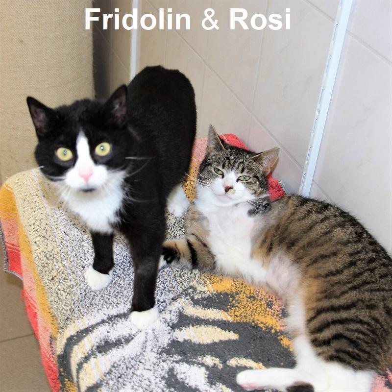 Fridolin & Rosi