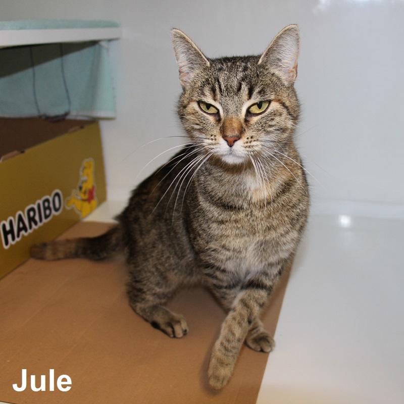 Jule