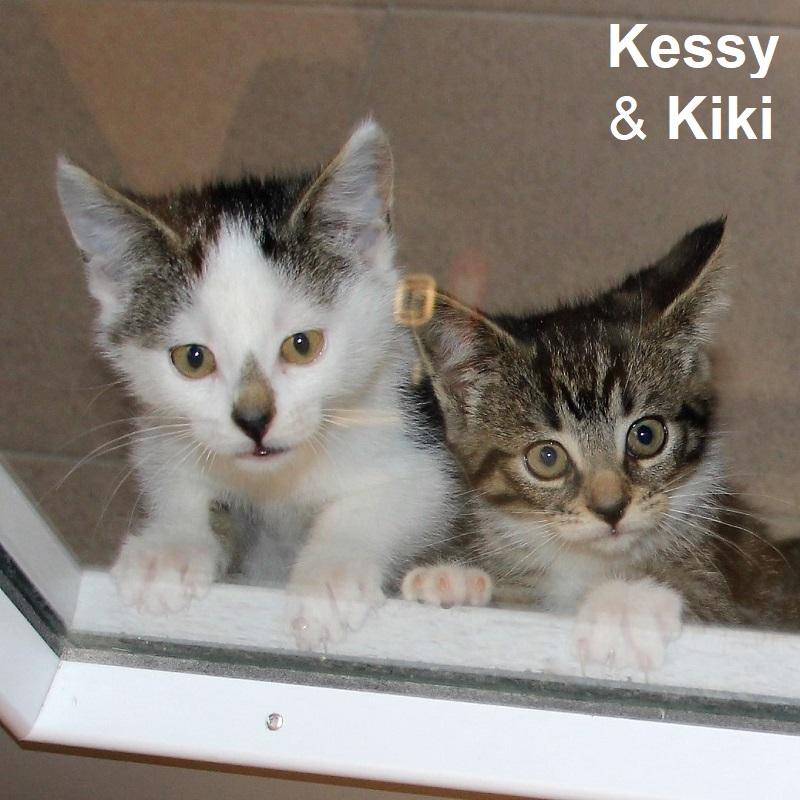 Kessy & Kiki