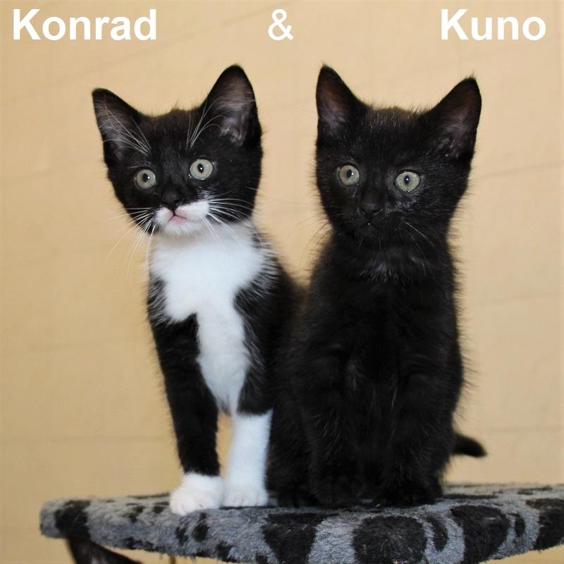 Konrad & Kuno