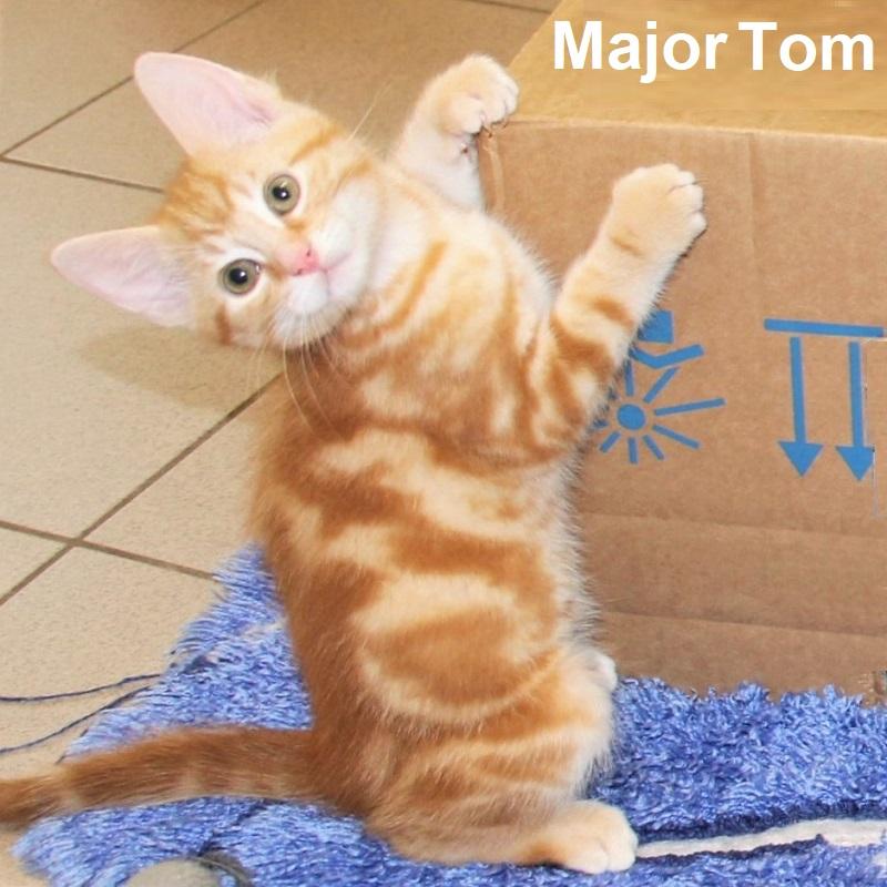 Major Tom