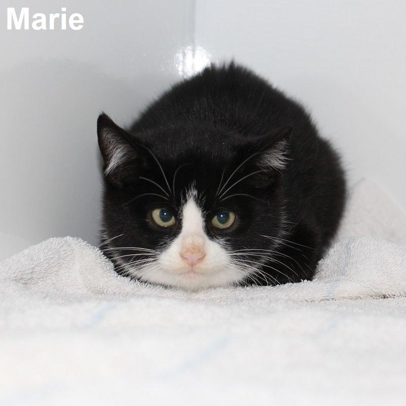 Marie