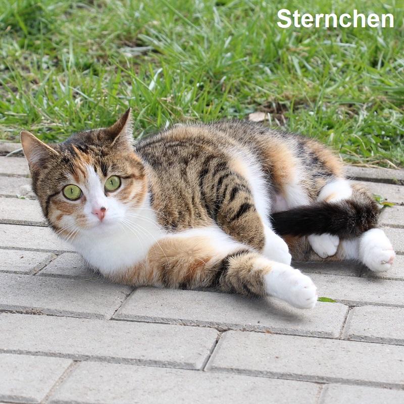 Sternchen