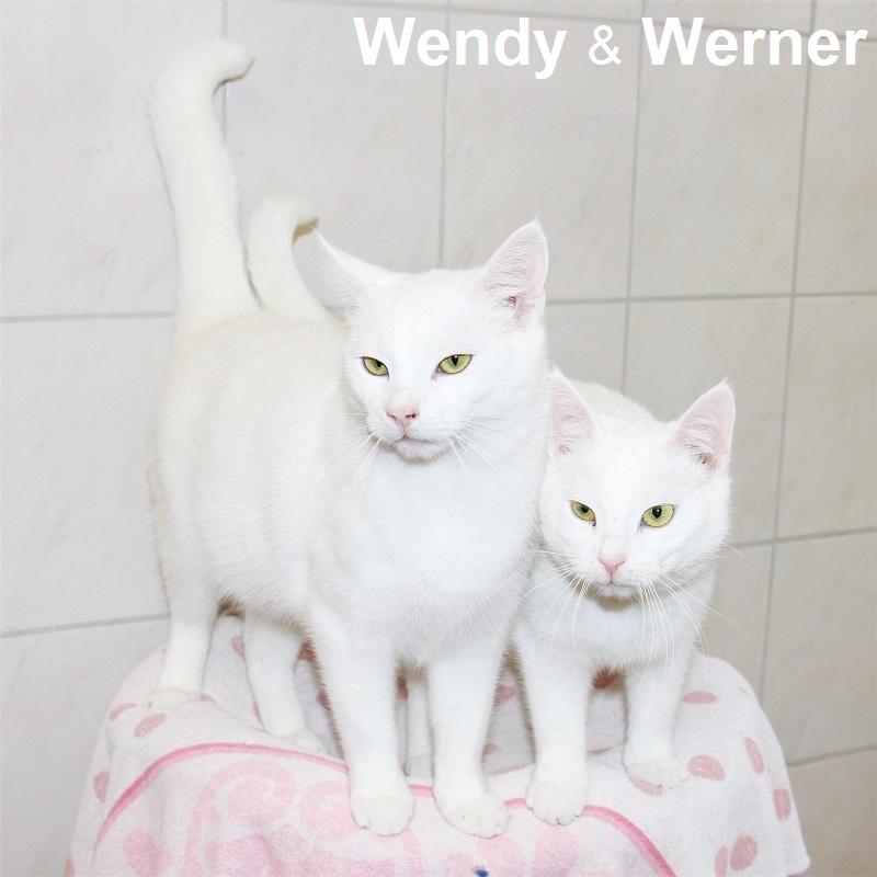 Wendy & Werner