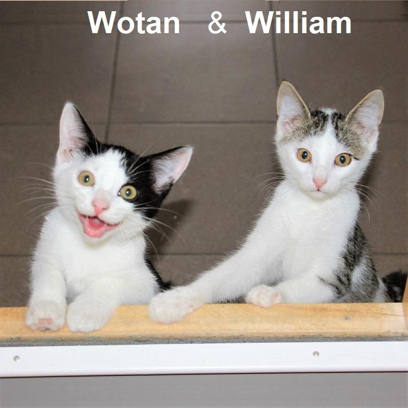 Wotan und William