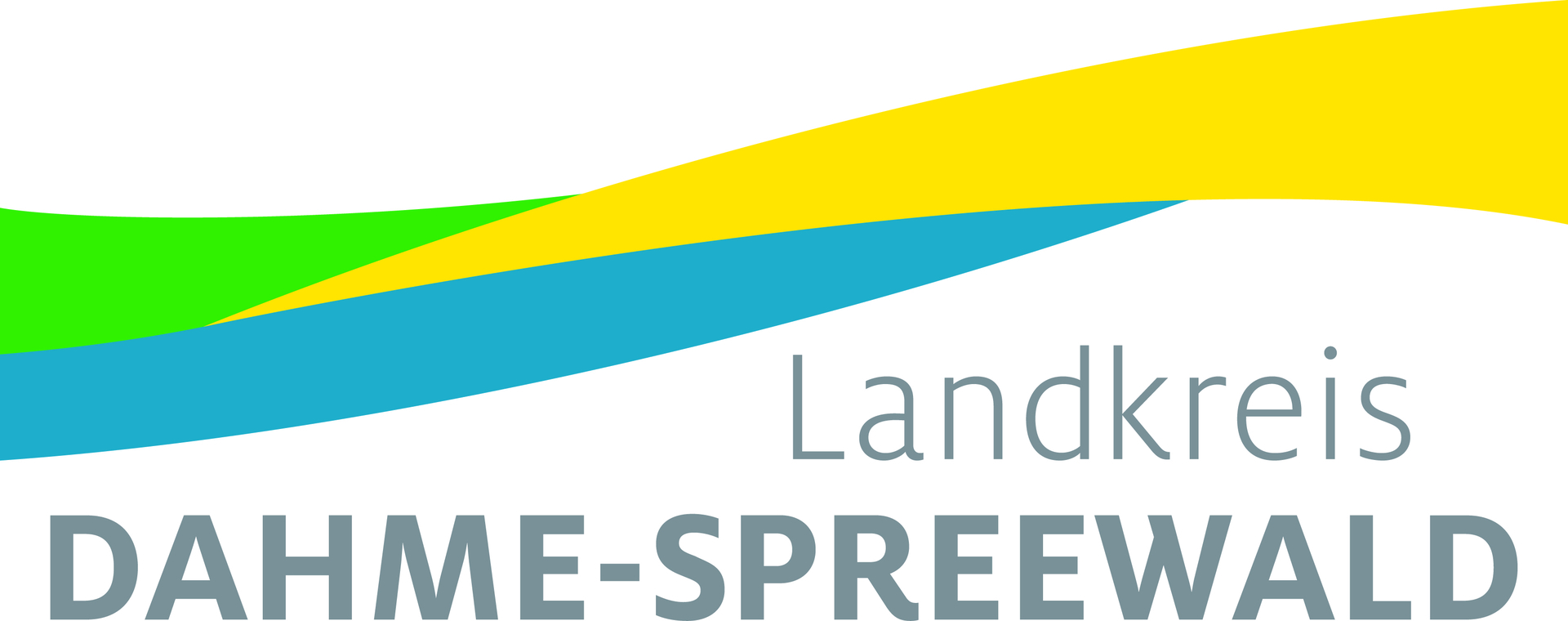 Logo LDS