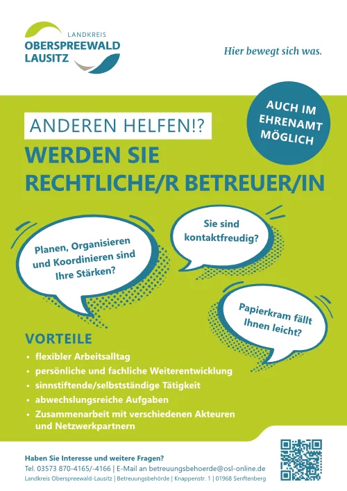 Flyer Berufsbetreuer - web