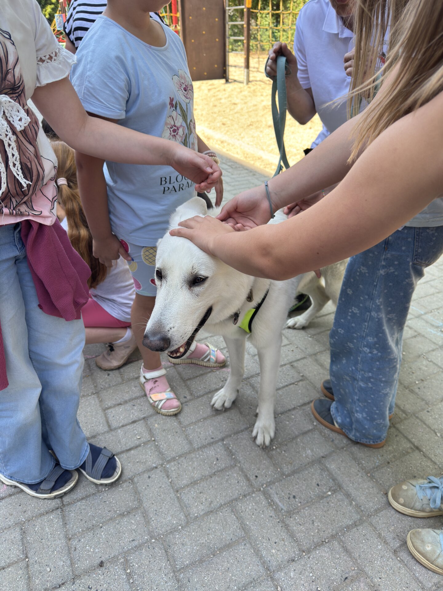 Hundestaffel Bautzen