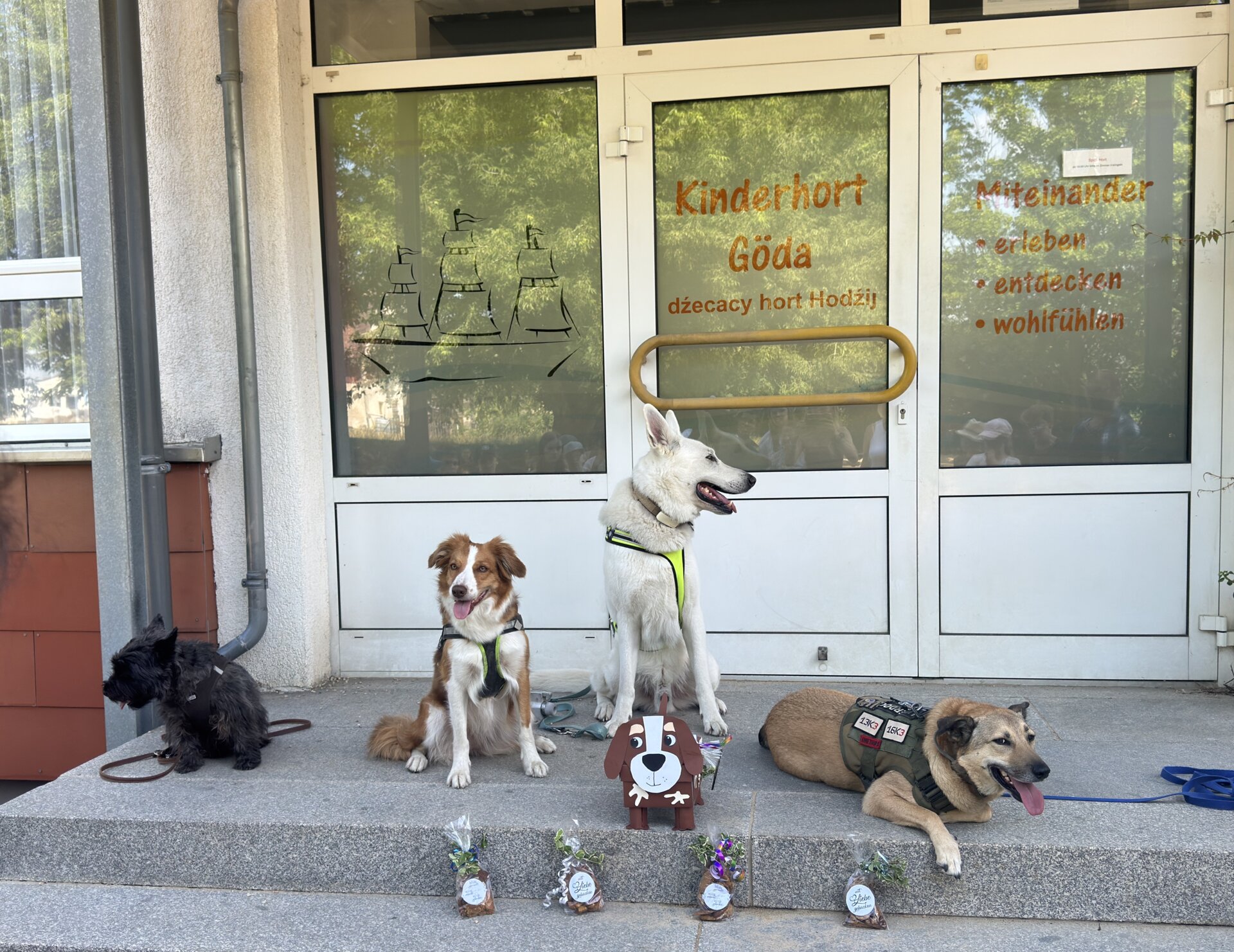 Hundestaffel Bautzen