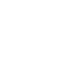 icpn-stern-