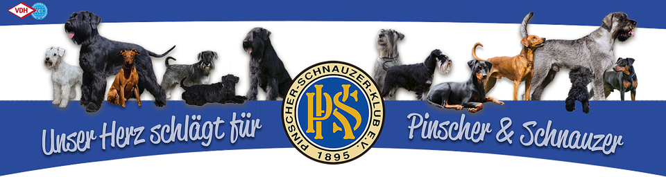 Banner PSK