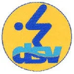 leistungsschwimmzeichen_gold