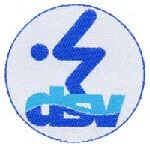 leistungsschwimmzeichen_silber
