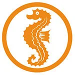 seepferdchen