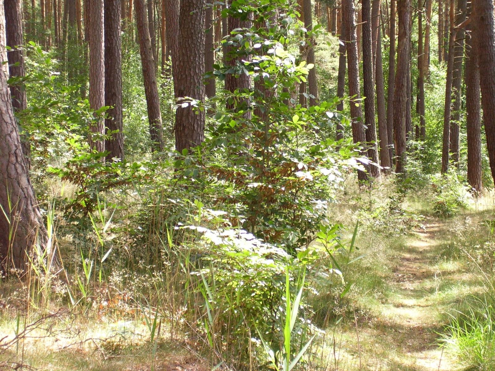 Wandern mit Sabine Görmar