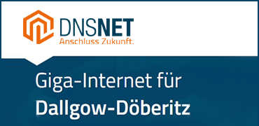 DNSnet