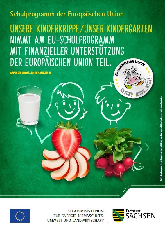 EU Schulprogramm