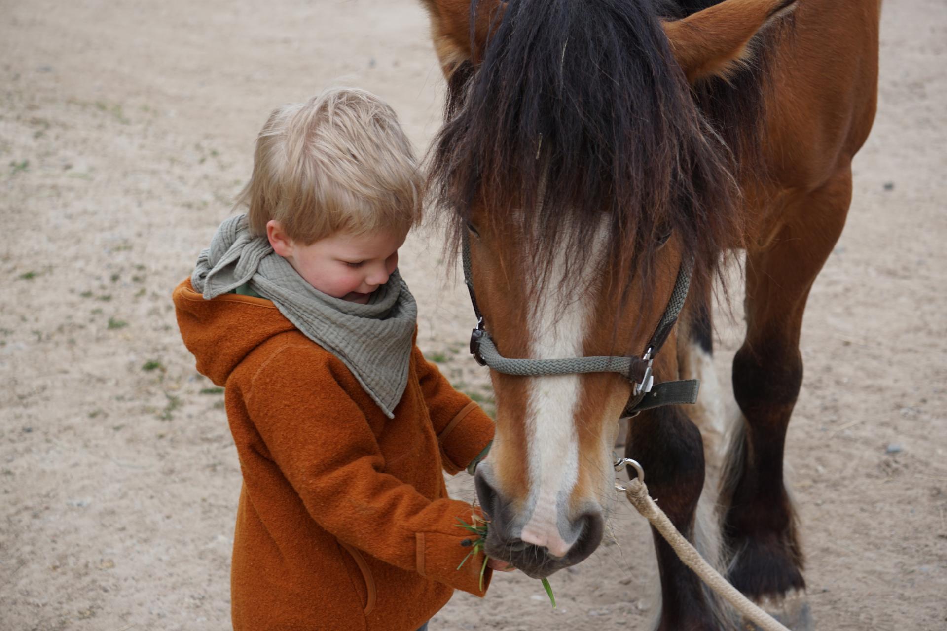 tiergestützt_4
