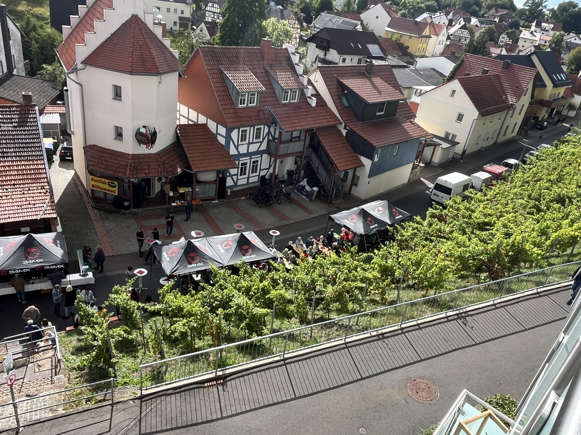 Blick auf den Weinberg (c) Matthias Vollmer