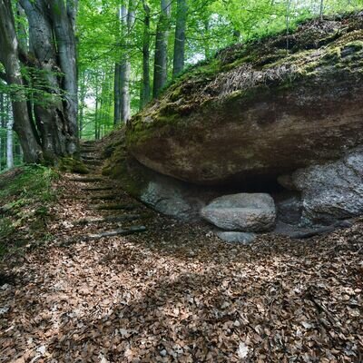 Felsen