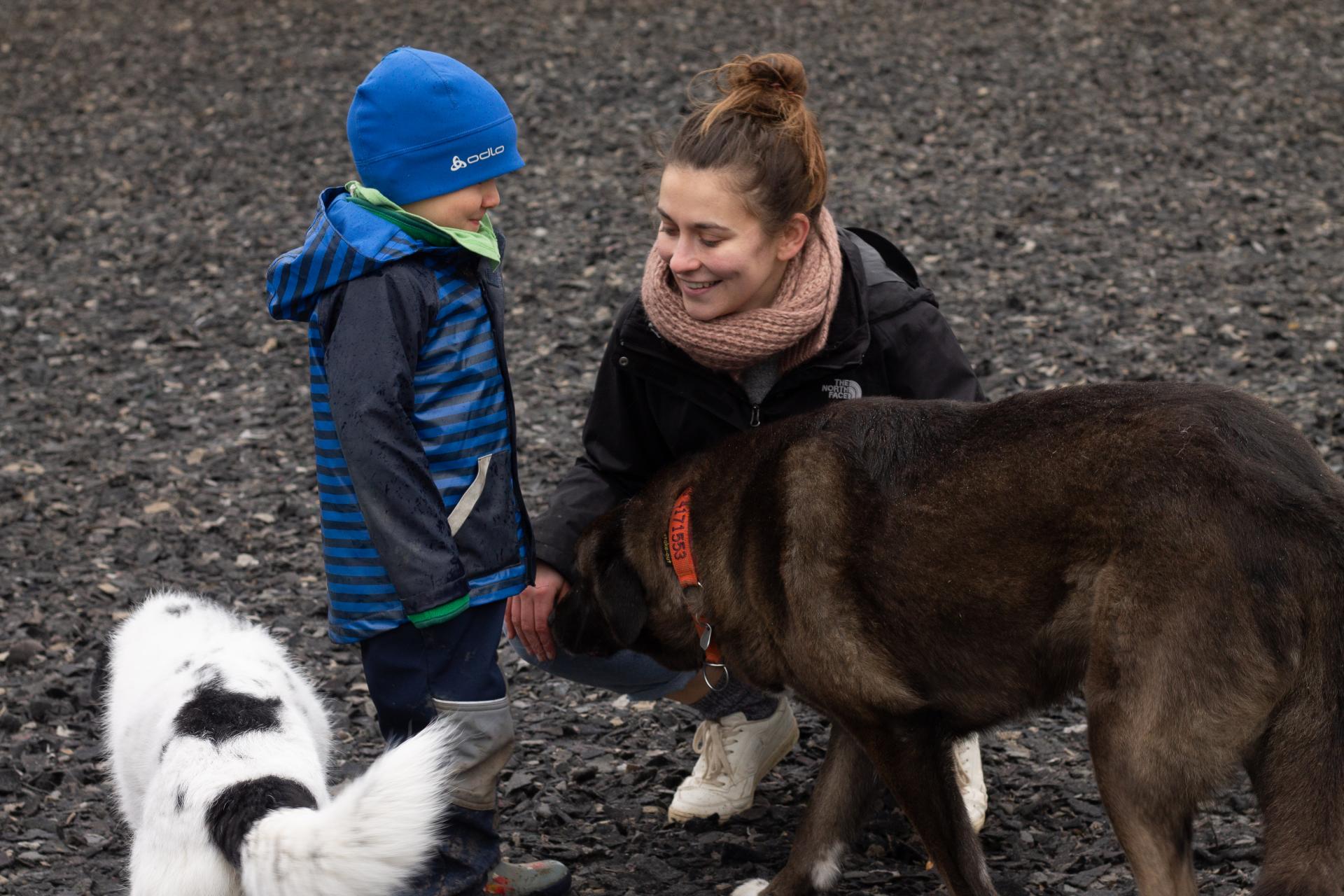 Box_Familien mit Kind und Hund