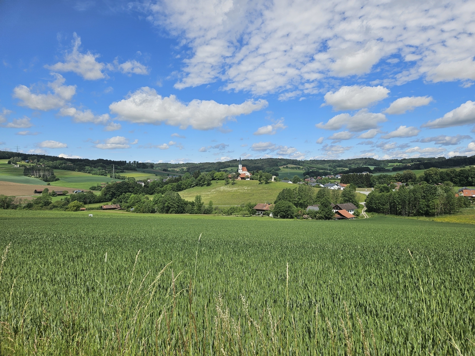 stubenberg