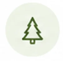 Evergreens