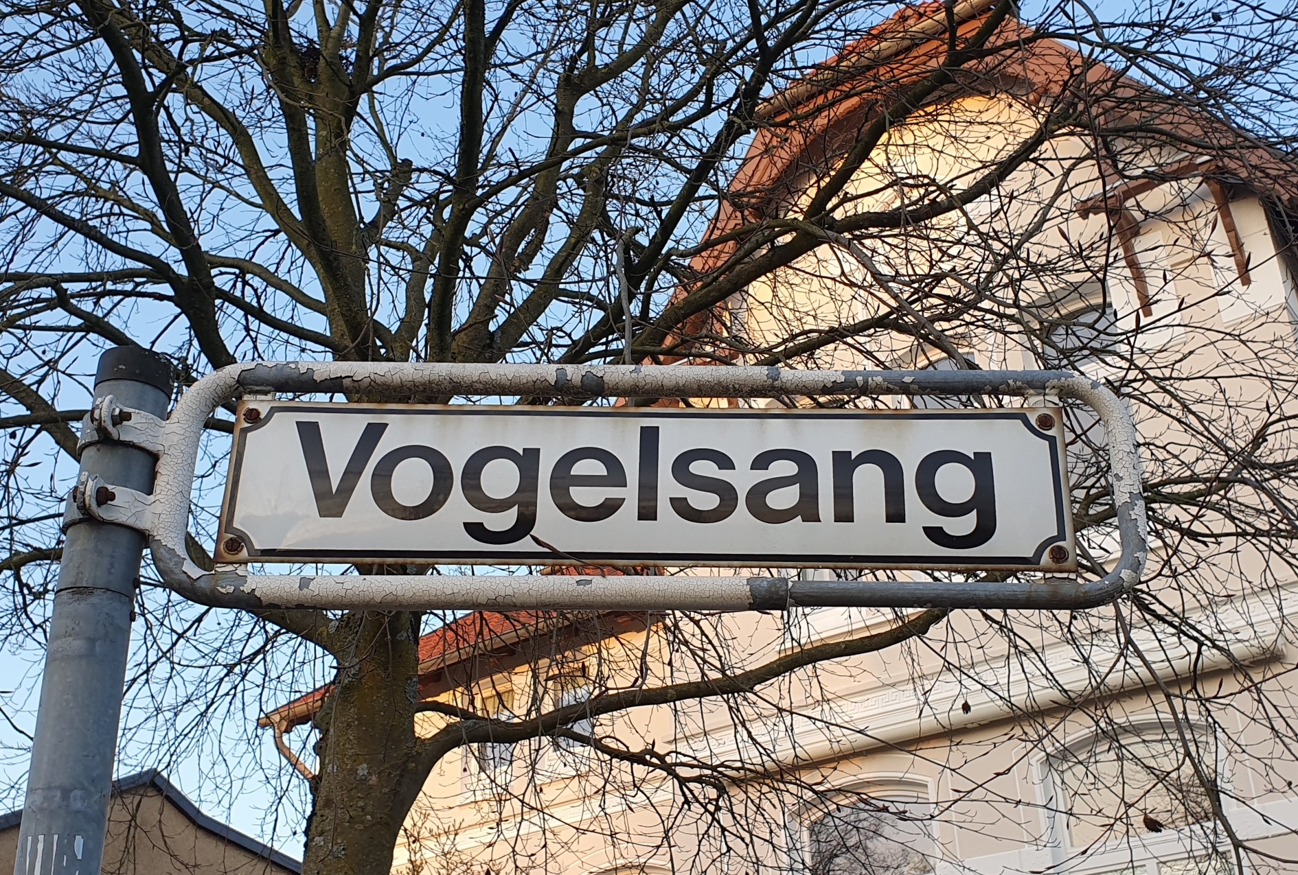 Vogelsang