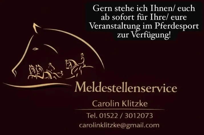 Meldestellenservice Carolin Klitzke
