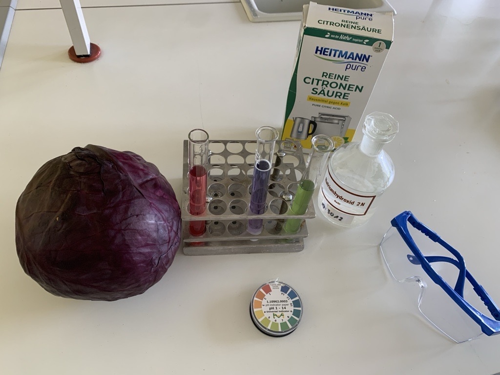Säuren-Basen-Rotkohl