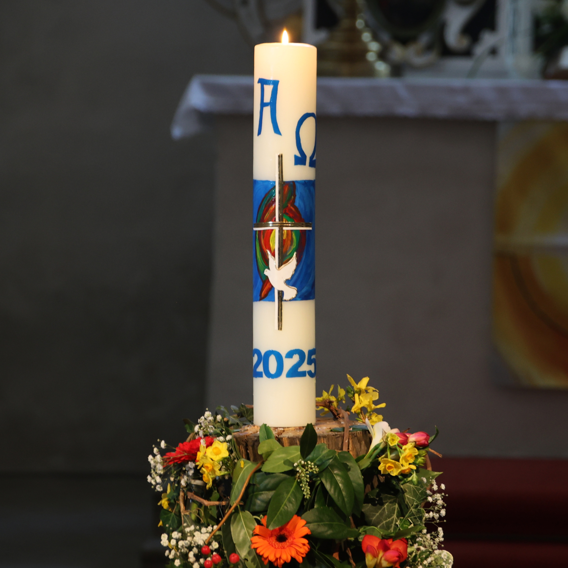 zu den Bildern