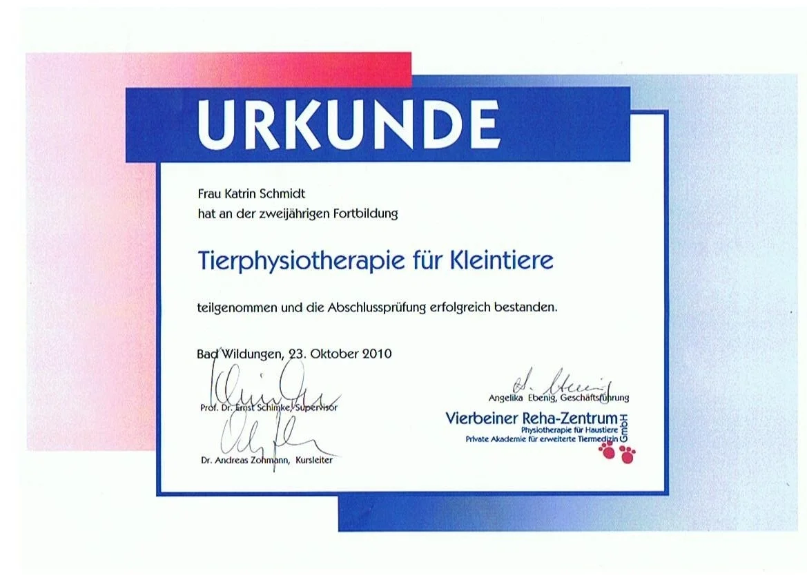 Urkunde Physiotherapie