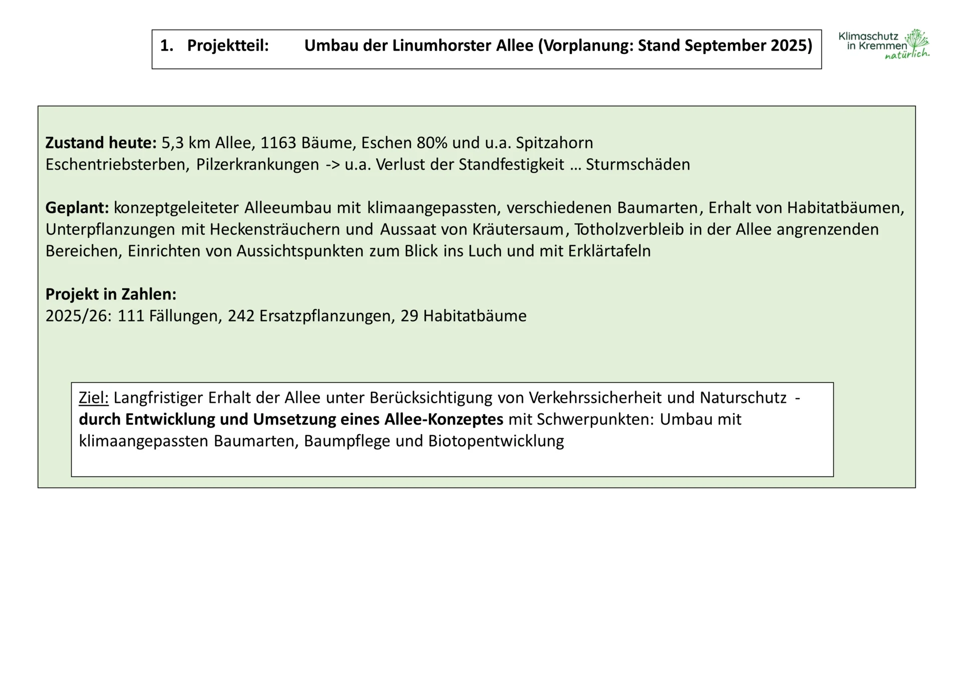 1. Projektteil: Umbau der Linumhorster Allee (Vorplanung: Stand September 2025)