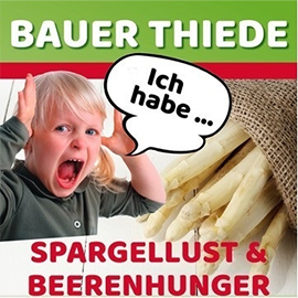 logo-bauer-thiede