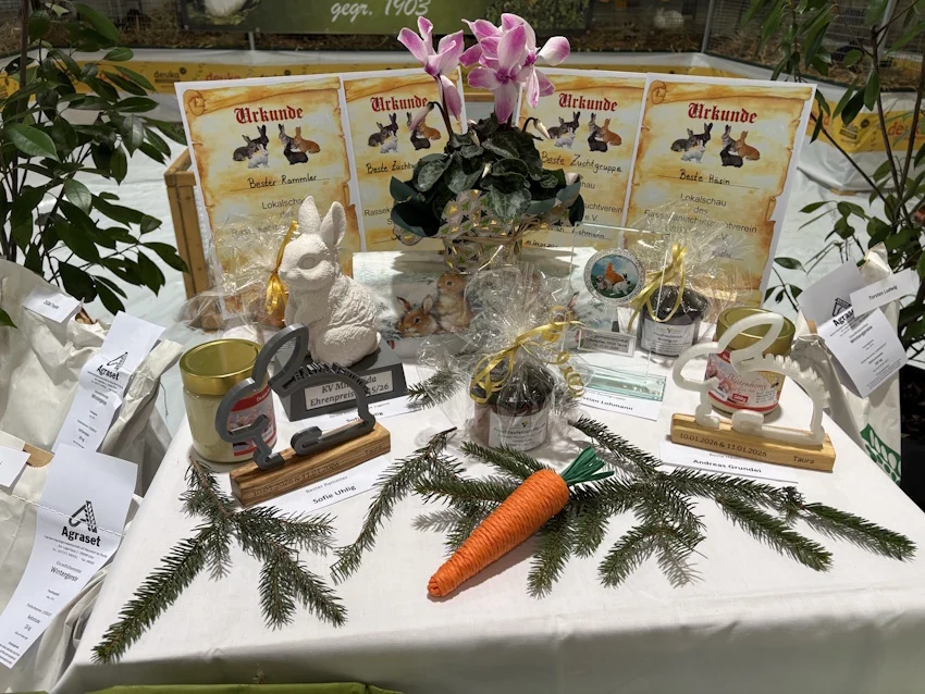 Rassekaninchenausstellung4_web