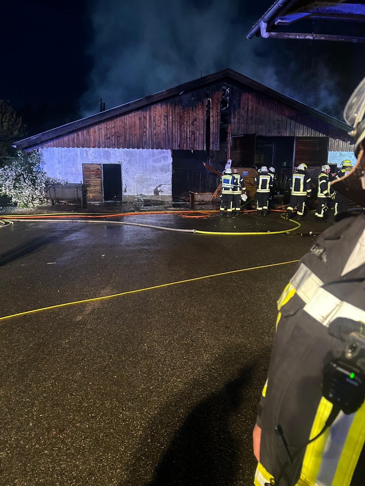 Brand Falkenstein 5