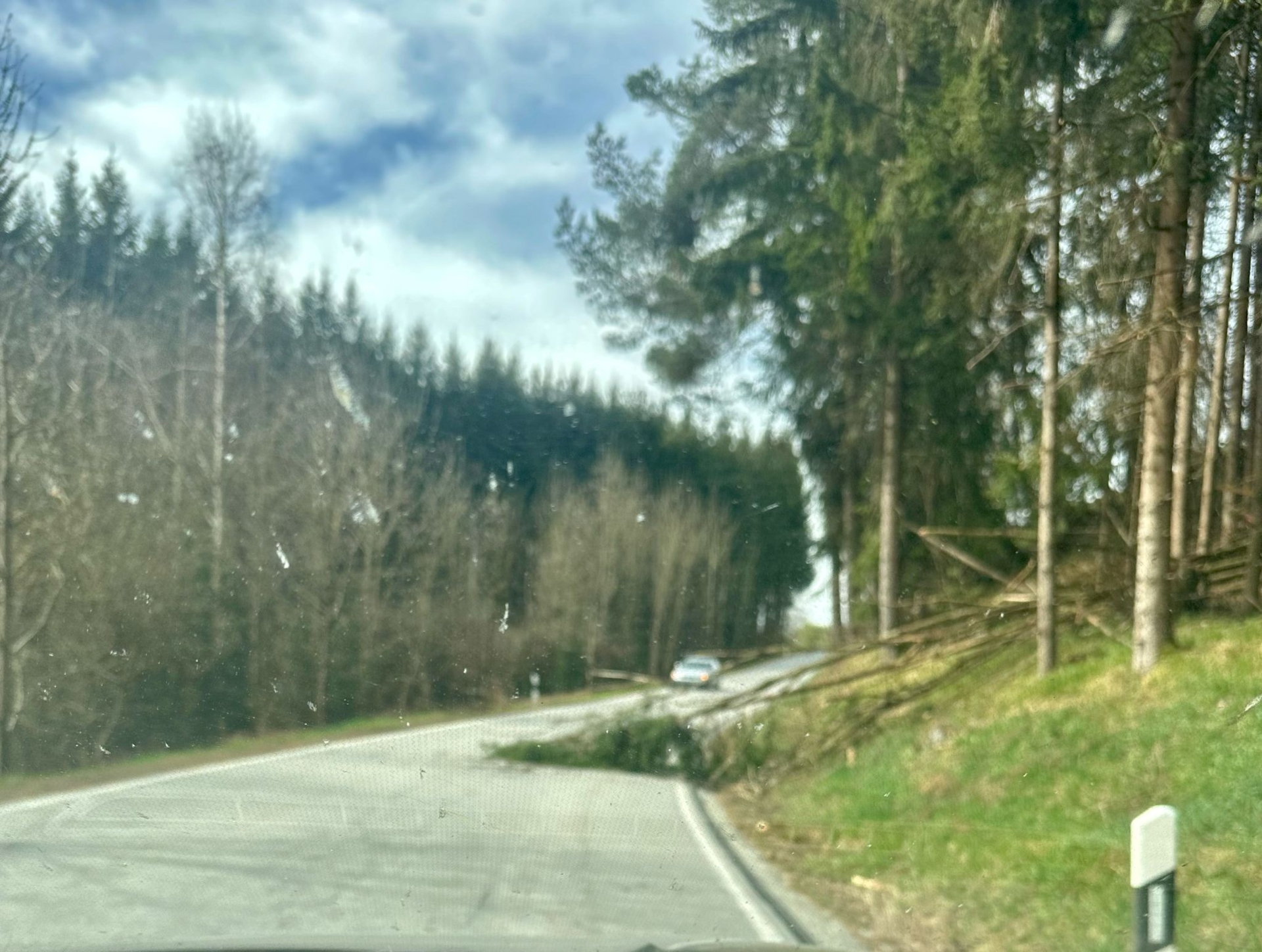 Baum über Fahrbahn