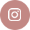 icon-instagram