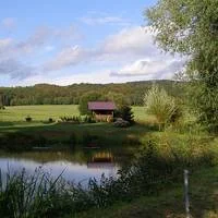 waldfisch_teich