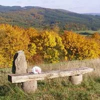 waldfisch_wanderroute