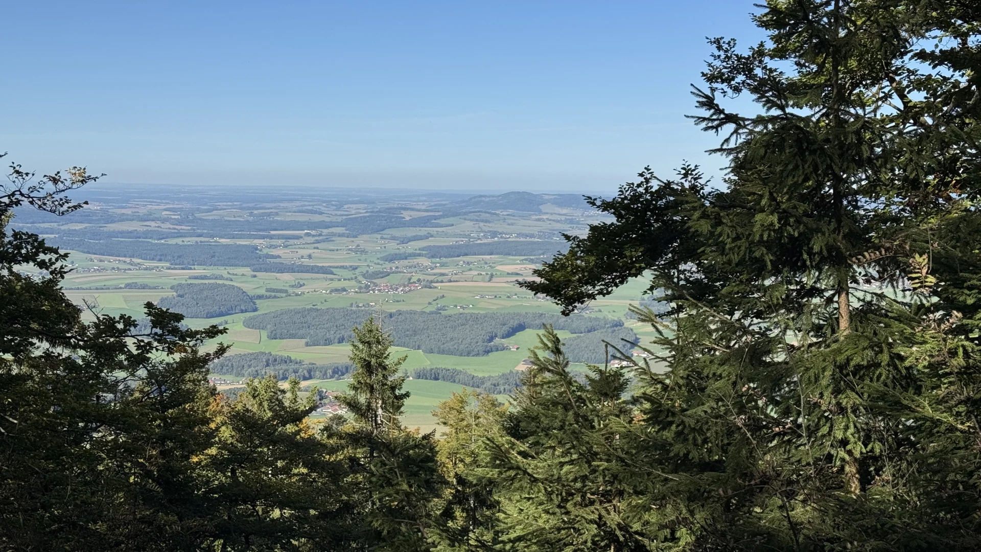 Byrischer Wald