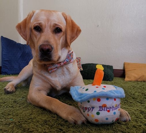 birthday