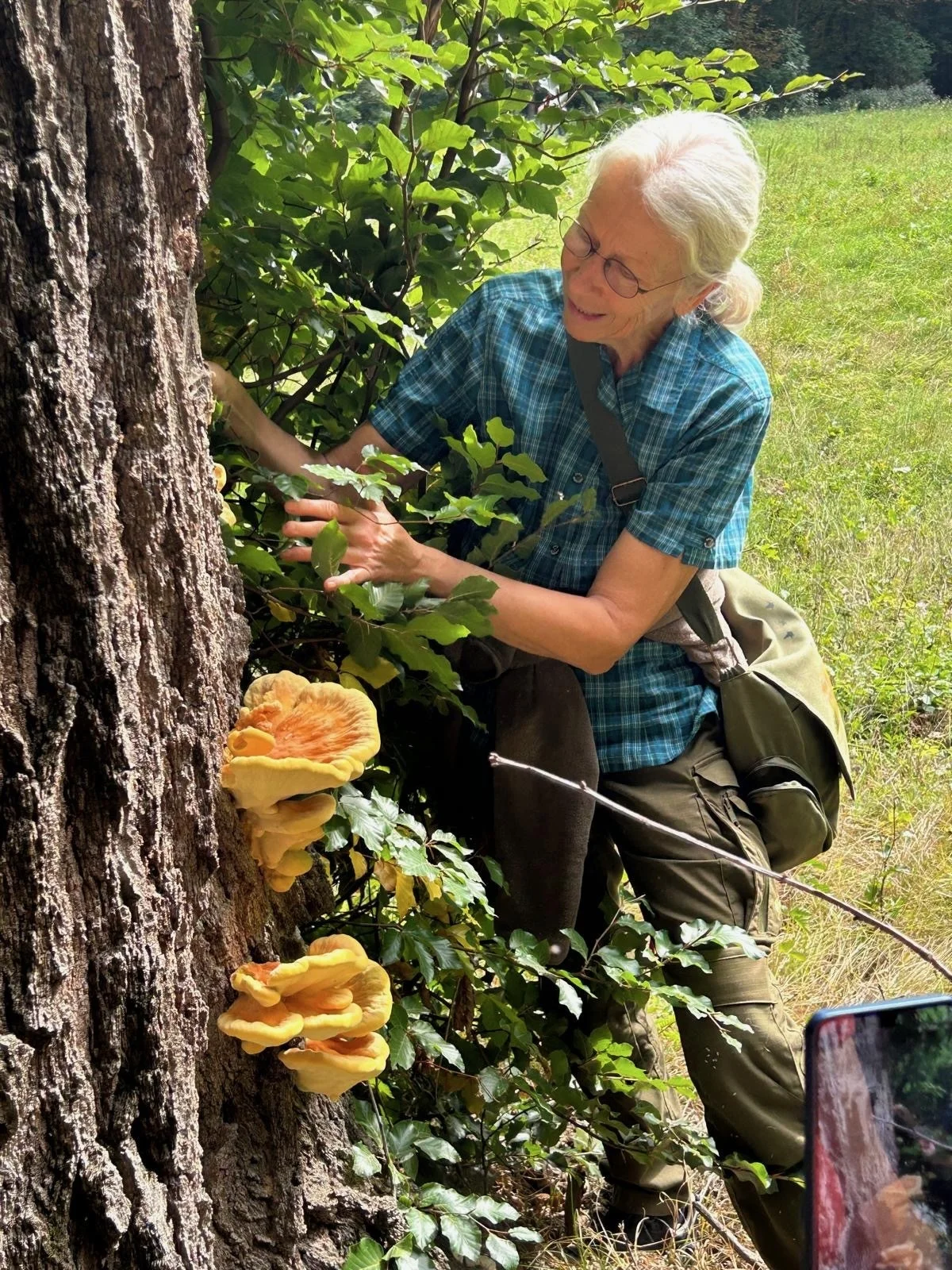 Claudia Hämmerling