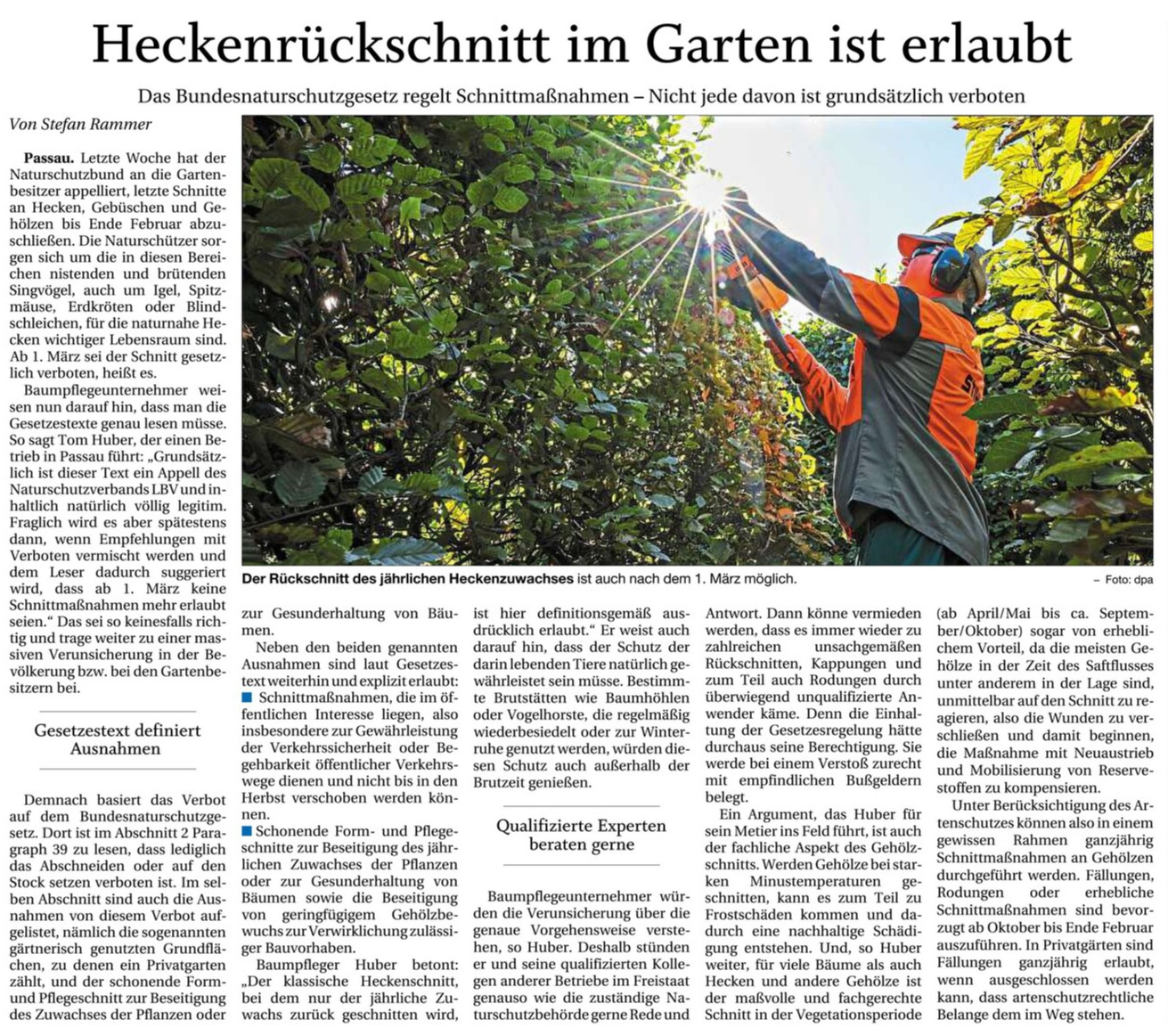 Information Heckenrückschnitt