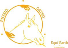 Marlene Becker Equine Physiotherapist and Osteotherapist logo