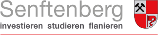logo-stadt-senftenberg
